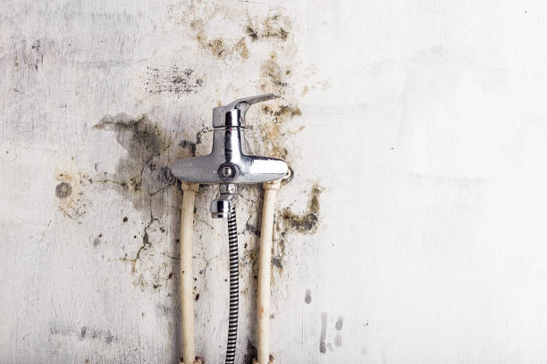 Water Damage Restoration in Riverwoods, IL