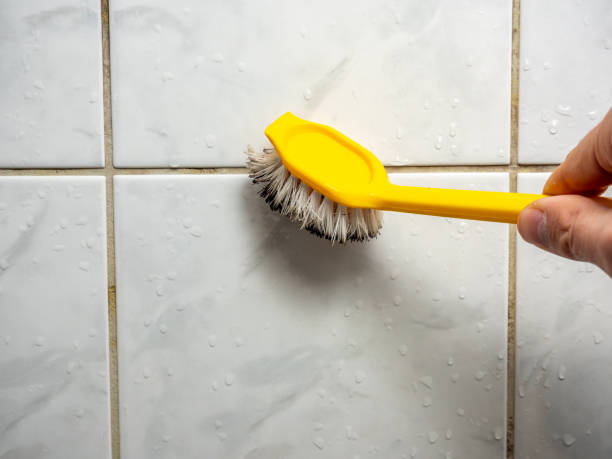 Best Local Mold Removal Service  in Riverwoods, IL