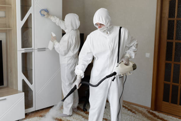 Best Toxic Mold Removal  in Riverwoods, IL