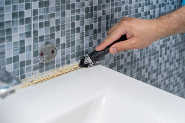 Mold Testing and Removal in Riverwoods, IL